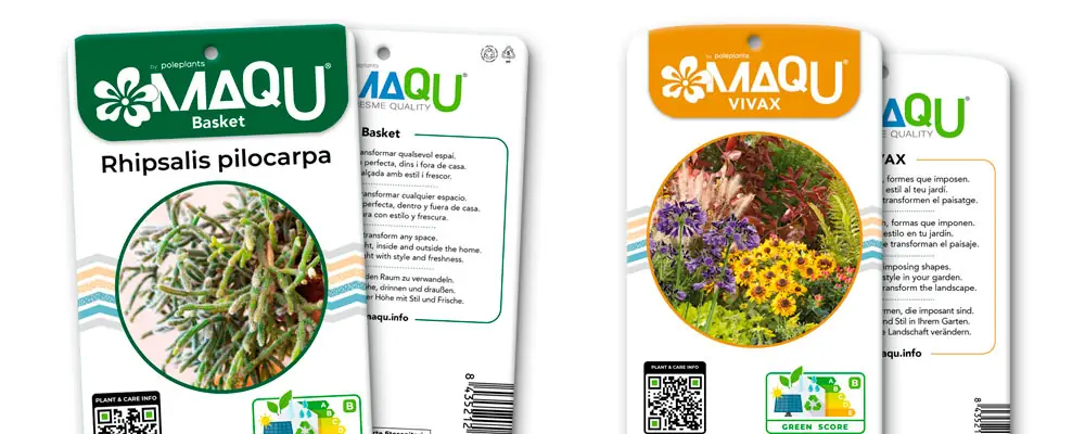 Colecciones MaQu: plantas con identidad propia