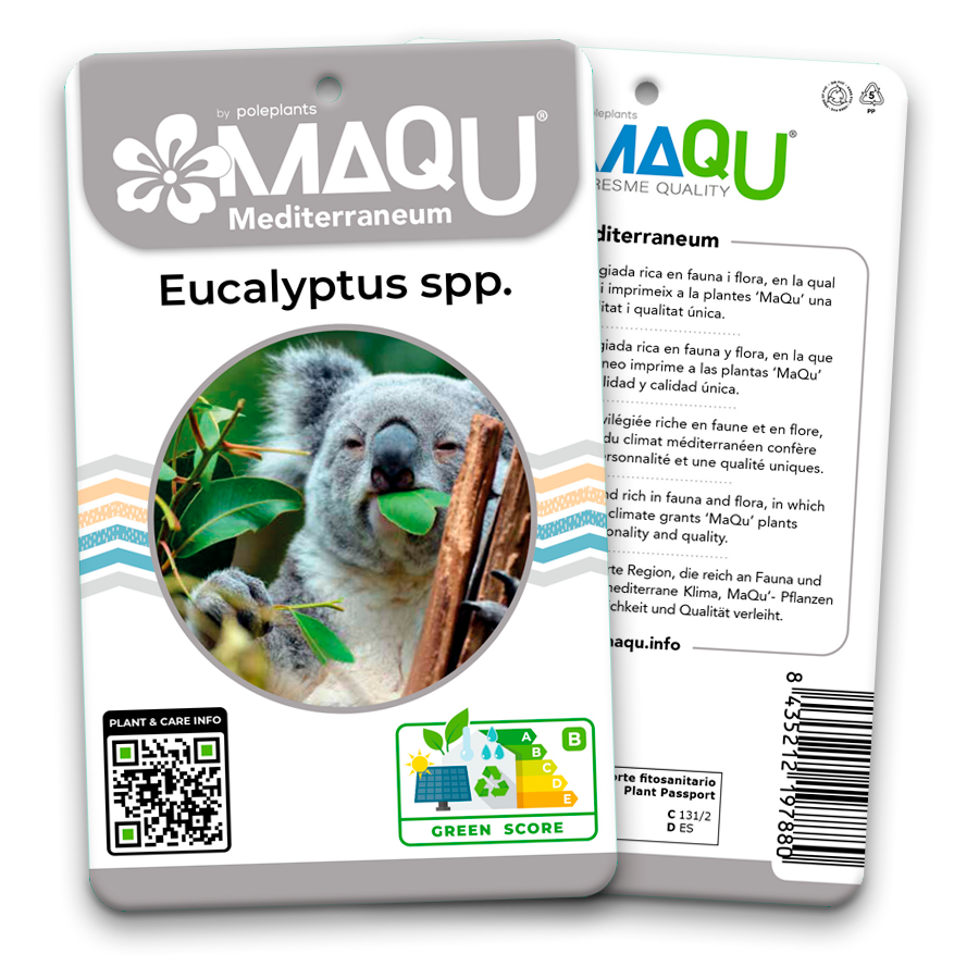 Etiqueta MaQu Mediterraneum
