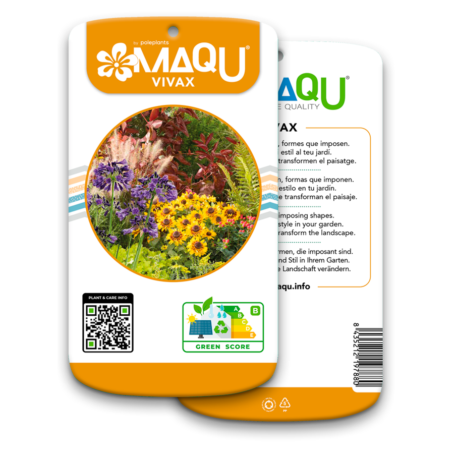 Etiqueta MaQu Vivax
